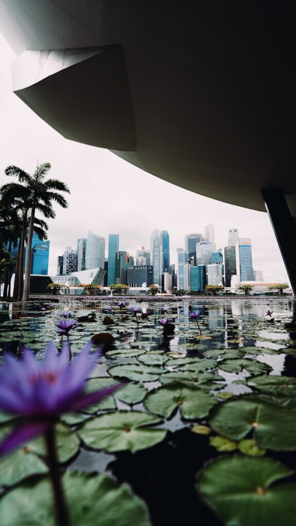 Skyscrapers reflected in water with lily pads.