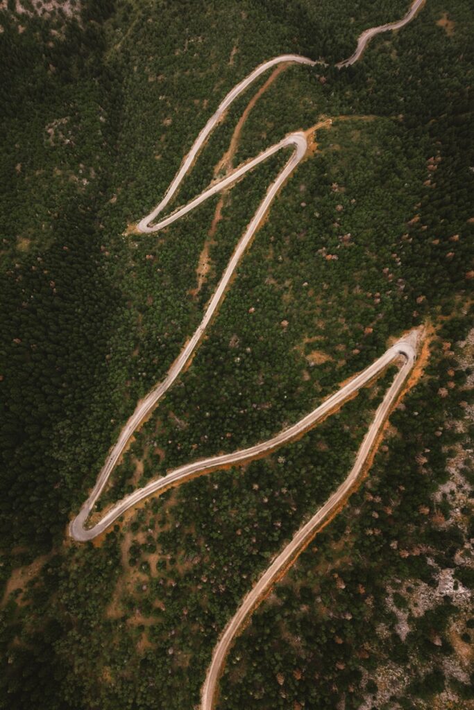 A winding road meanders through a forest.