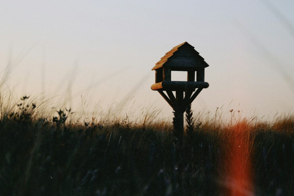 A birdhouse stands in a field at sunset.